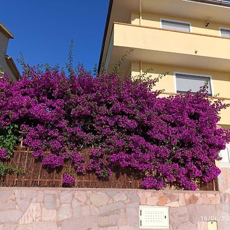 Bouganville Olmedo Buitenkant foto