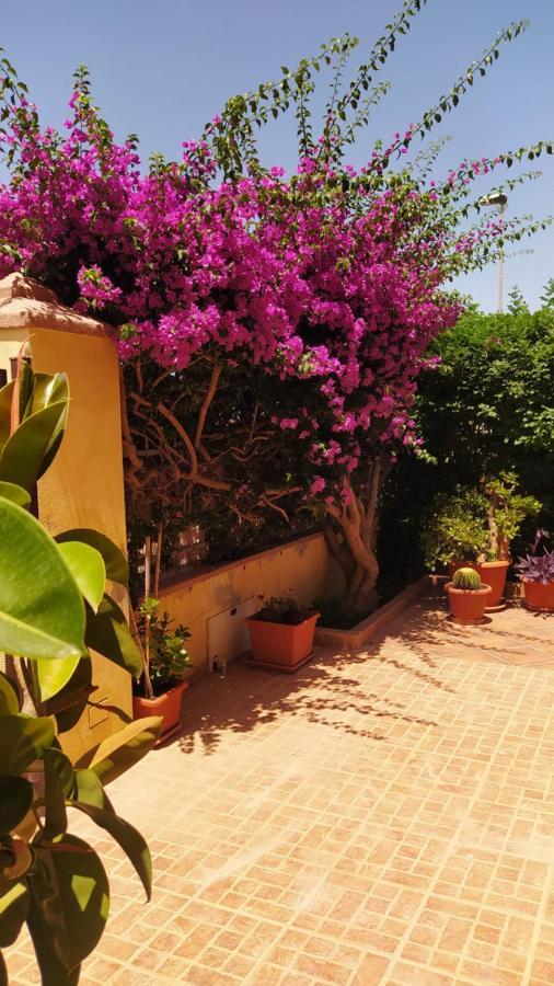 Bouganville Olmedo Buitenkant foto